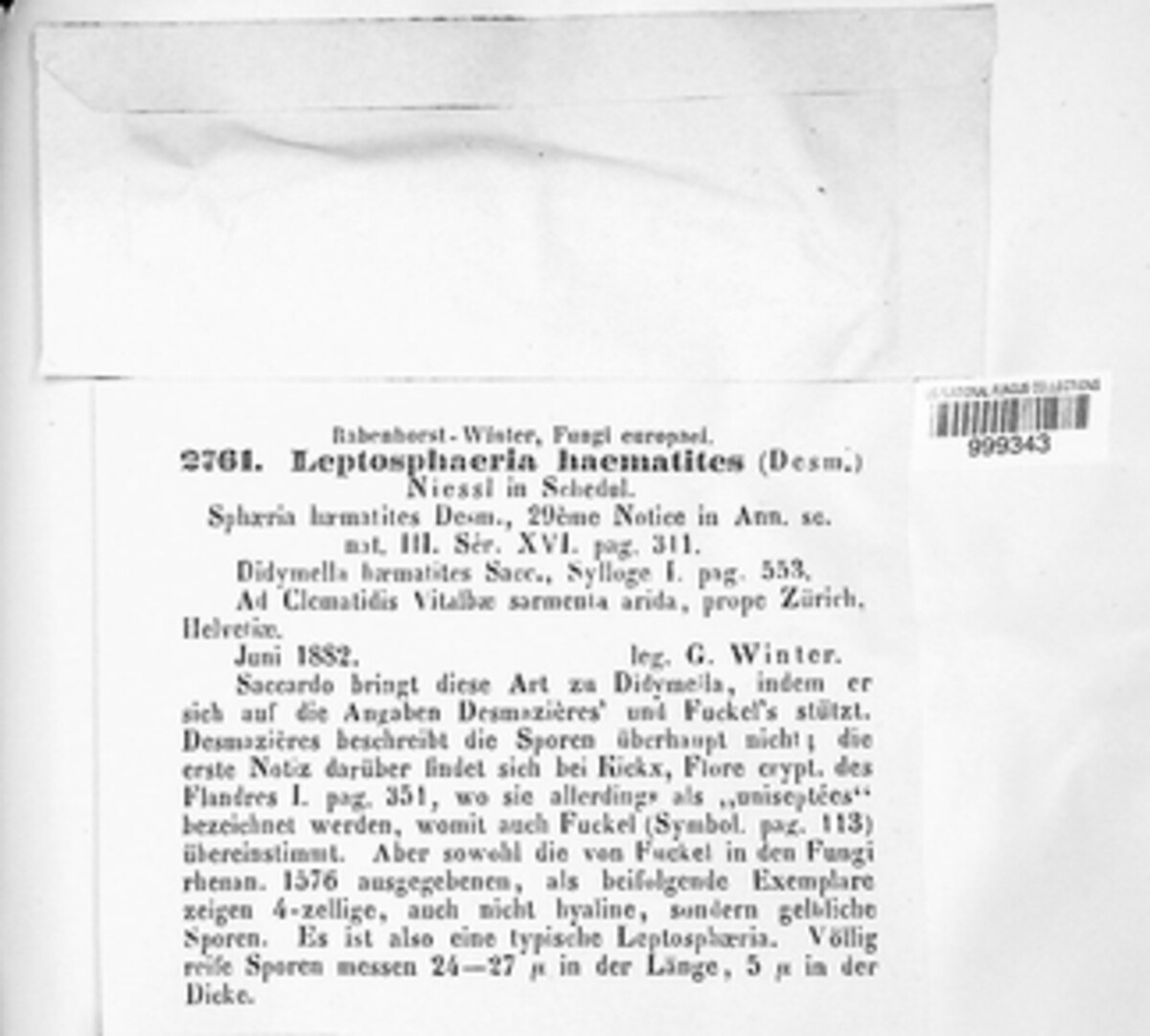Leptosphaeria haematites image